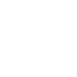 Codeak Logo